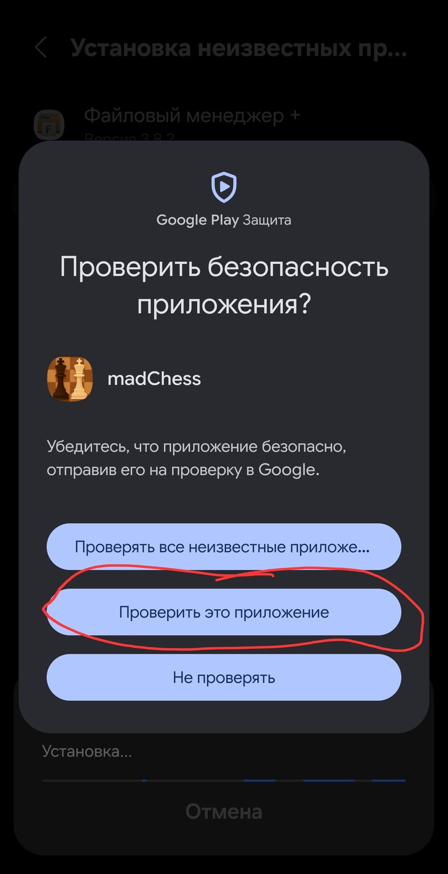 Проверка безопасности только приложения madChess